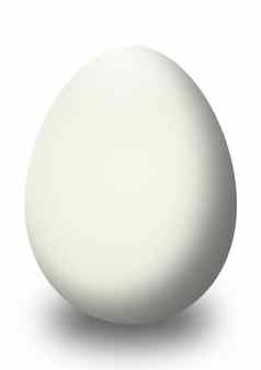 蛋孤立的白色