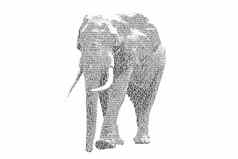 词大象混合数字大象排版