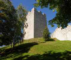 塔采列中世纪的城堡斯洛文尼亚