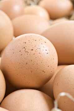 新鲜的健康的鸡蛋农场准备好了煮熟的