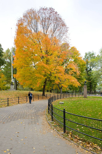 秋天的中央公园纽约城市美国