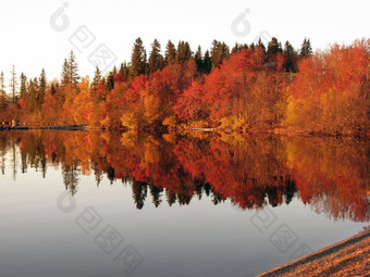 红色的树reflction镜子湖