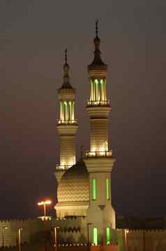 酋长扎耶德清真寺