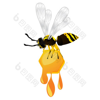黄蜂蜂蜜