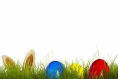 复活节鸡蛋草耳朵复活节兔子背景