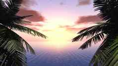 日落背景分支机构棕榈树