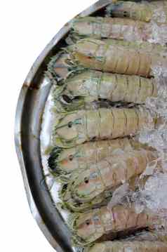 螳螂虾白色