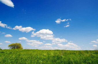 绿色草深蓝色的天空云