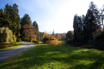 美丽的秋天景观色彩斑斓的树池塘