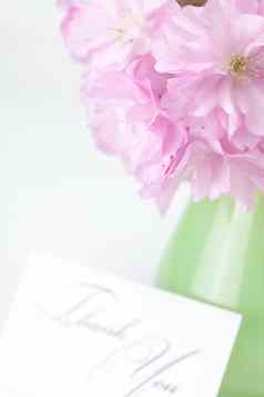 樱花花花瓶卡签署孤立的