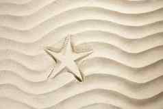 海滩海星打印白色加勒比沙子夏天