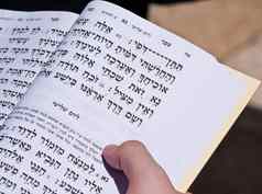 男人。阅读希伯来语神圣的书耶路撒冷