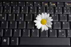 白色玛格丽特移动PC电脑键盘