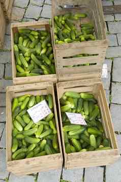 黄瓜开放空气农民市场