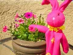 粉红色的兔子粉红色的佩妮花
