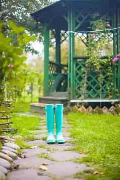 明亮的时尚橡胶靴子花园背景木藤蔓缠绕
