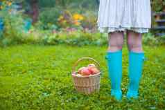 后视图女腿橡胶靴子篮子红色的苹果
