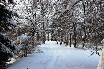 路冬天雪冬天