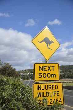 袋鼠标志澳大利亚