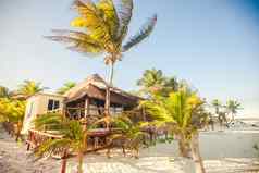 热带海滩平房海洋海岸棕榈树