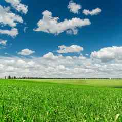 绿色草场深蓝色的天空云