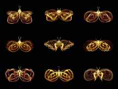 集合分形蝴蝶