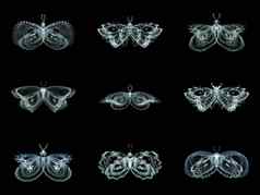 虚拟分形蝴蝶