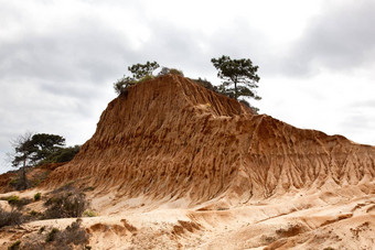 破碎的山托里松<strong>树状</strong>态公园