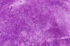 紫色的颜色水泥