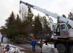 救援工人删除树砍伐飓风