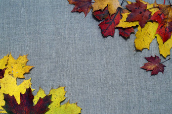 背景秋天叶子织物