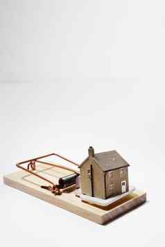 模型房子诱饵捕鼠器
