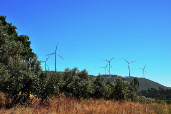 景观风权力发电机