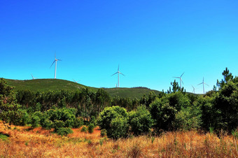 景观风权力发电机