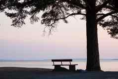 板凳上树轮廓查看宁静湖
