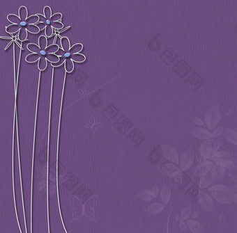 紫色的背景白色花