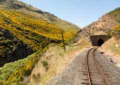 铁路跟踪切削喉咙新西兰