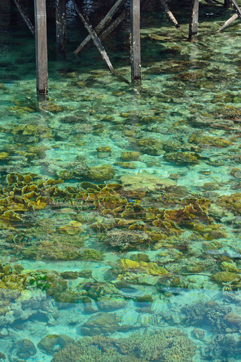 水晶清晰的海Sipadan马布岛度假胜地马来西亚