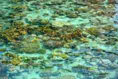 水晶清晰的海Sipadan马布岛度假胜地马来西亚