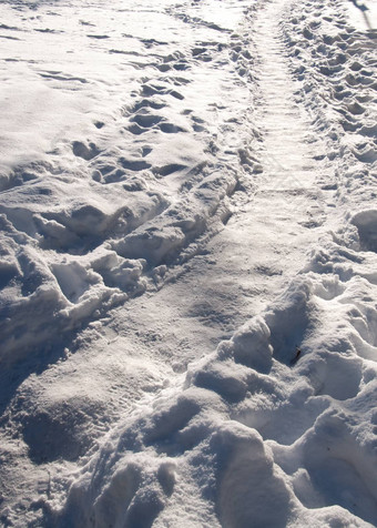 阳光明媚的雪冬天路径