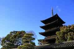 醍寺庙五层楼的宝塔春天《京都议定书》日本
