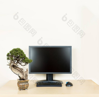 小盆景树平原办公室桌子上监控