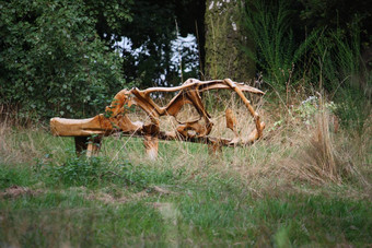 木雕塑<strong>艺术展</strong>览树木繁茂的区域