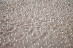 沙子大数量白色塑料叉