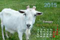 日历2月一年山羊