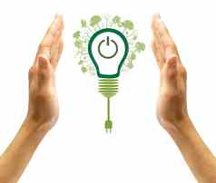 绿色生态能源概念植物日益增长的光灯泡