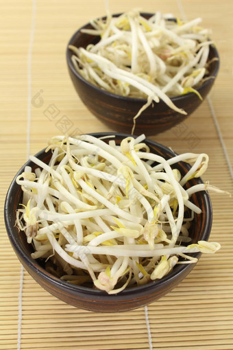 绿豆豆豆芽