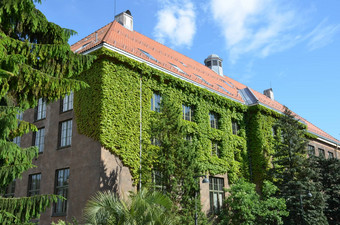 自然历史博物馆大学奥斯陆