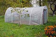 塑料温室温室秋天农场花园