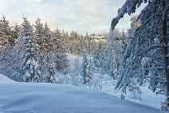 小屋雪冬天森林水平